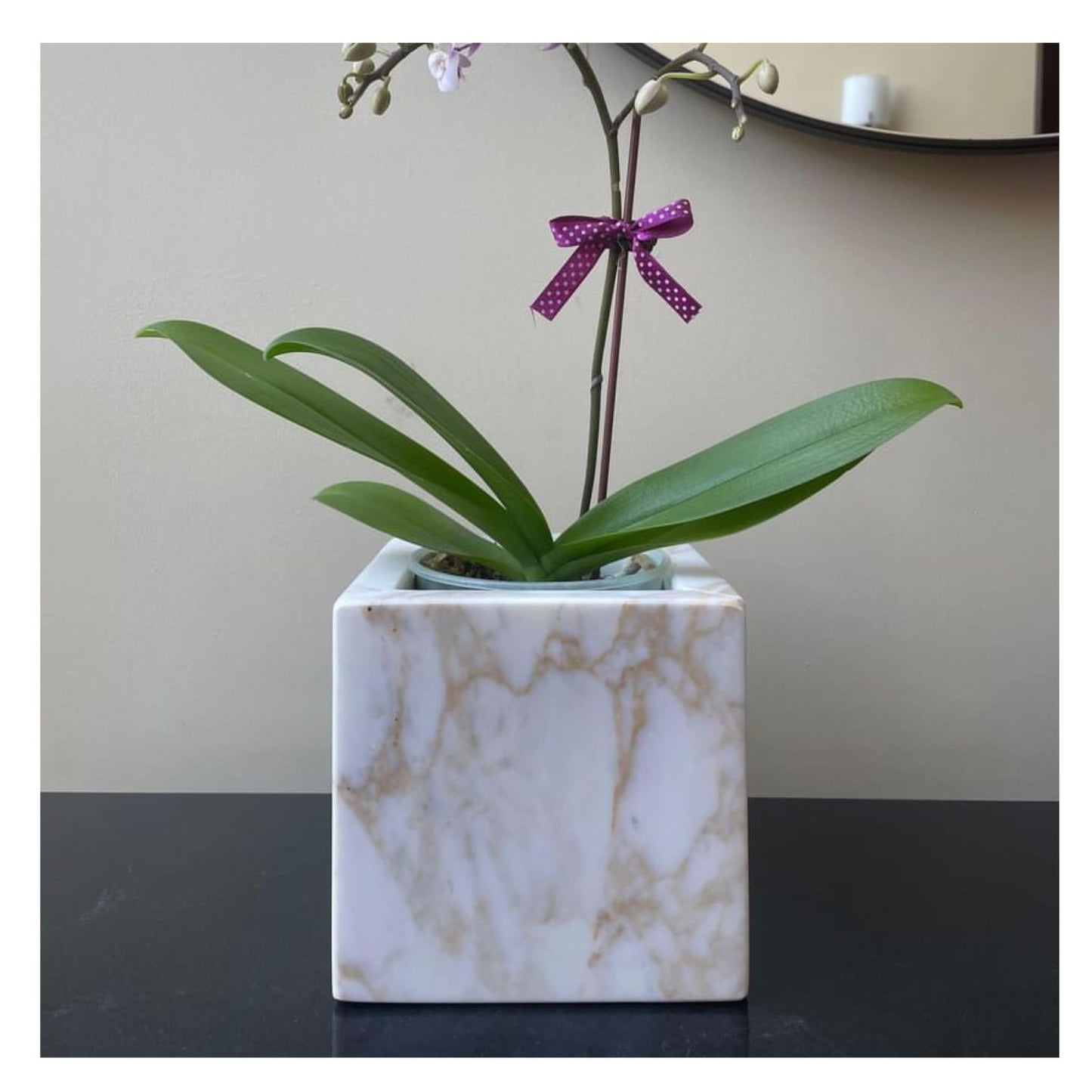 MACETERO CALACATTA GOLD