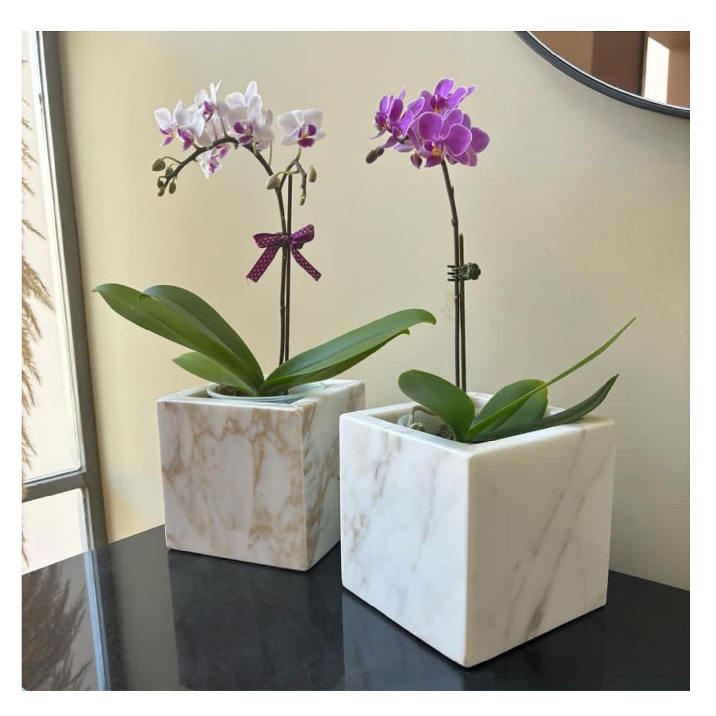 MACETERO CALACATTA GOLD